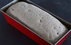 Teigling Graubrot